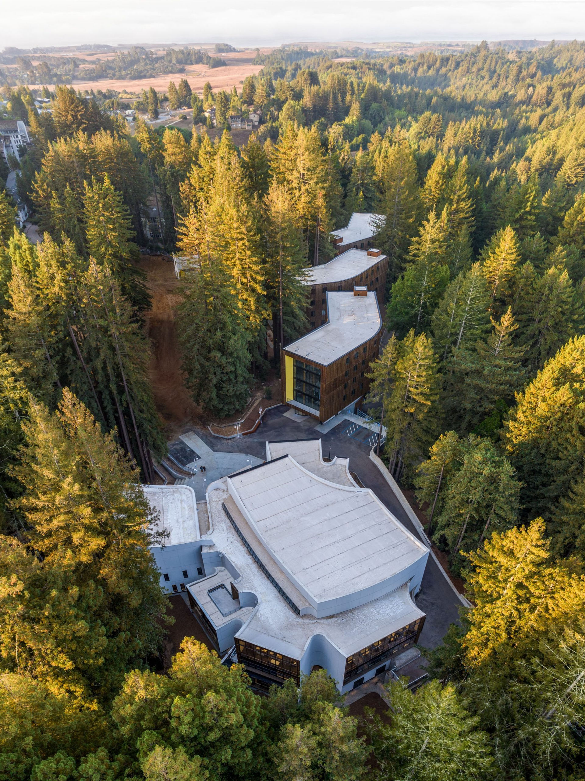 Biophilic Design kesge college