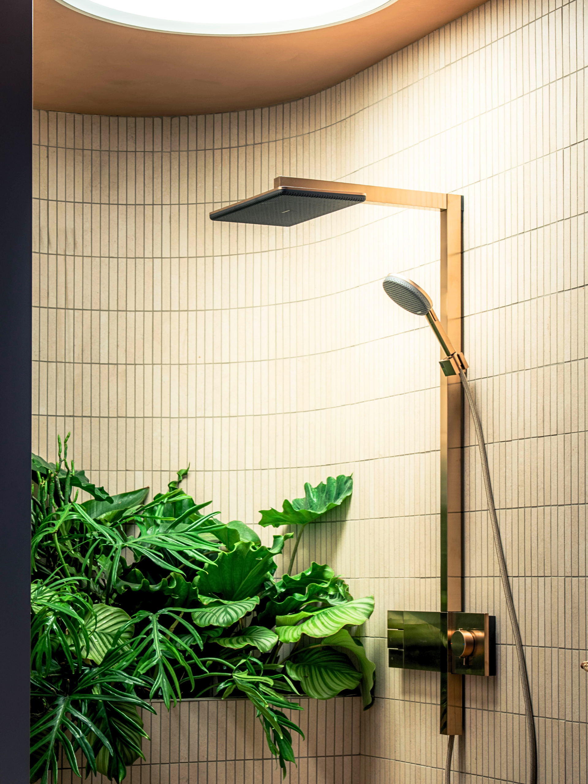 Hansgrohe Raindance Alive