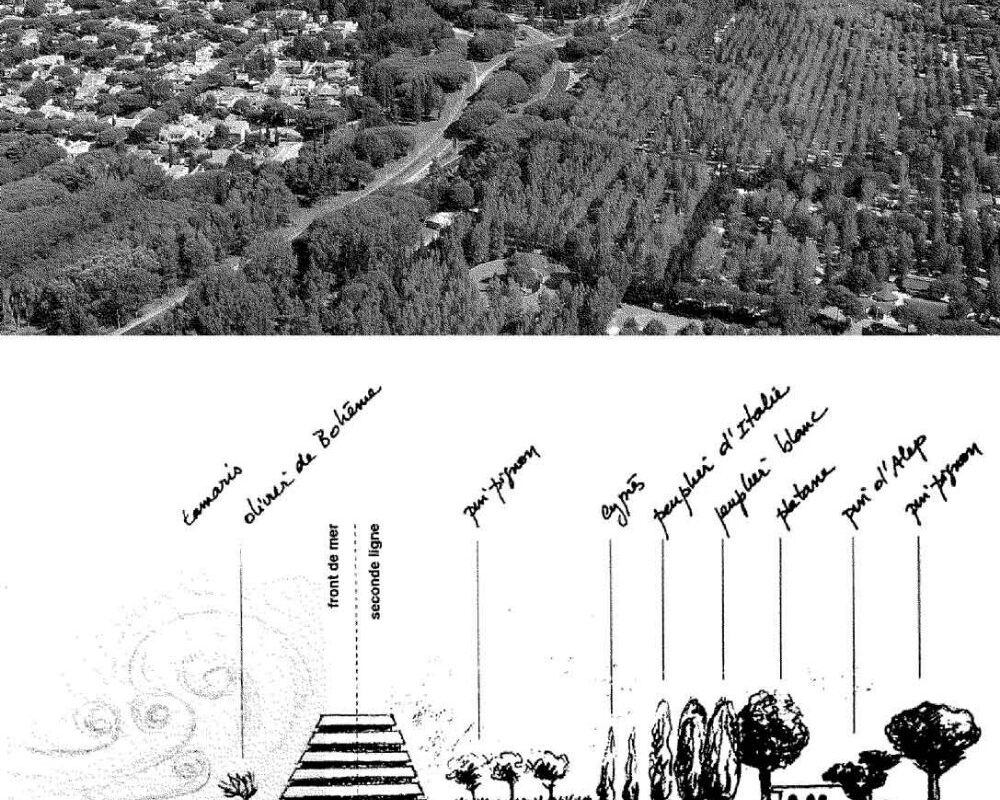 La Grande-Motte Master Plan and Wind Strategy Diagram Master plan diagram of La Grande-Motte showing the pyramid layout, prevailing wind directions and landscape strategy designed by Jean Balladur.