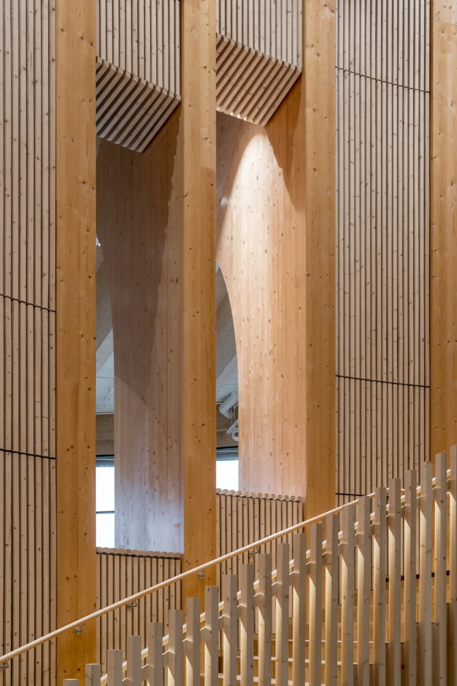 glulam and locally sourced CLT timber