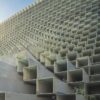 biomaterial startups-buildings-move